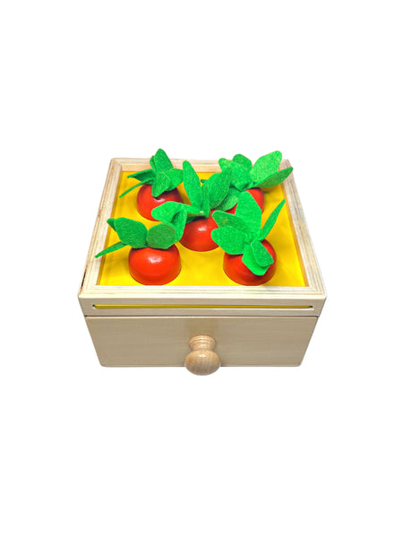Montessori 3-in-1 Wooden Sorting Toy | Carrot Sorting | Ball Drop | Coin Drop | Motor Skills | Object Permanence