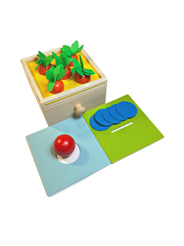 Montessori 3-in-1 Wooden Sorting Toy | Carrot Sorting | Ball Drop | Coin Drop | Motor Skills | Object Permanence